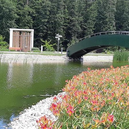 Antal Apartmanok Zalakaros Dış mekan fotoğraf