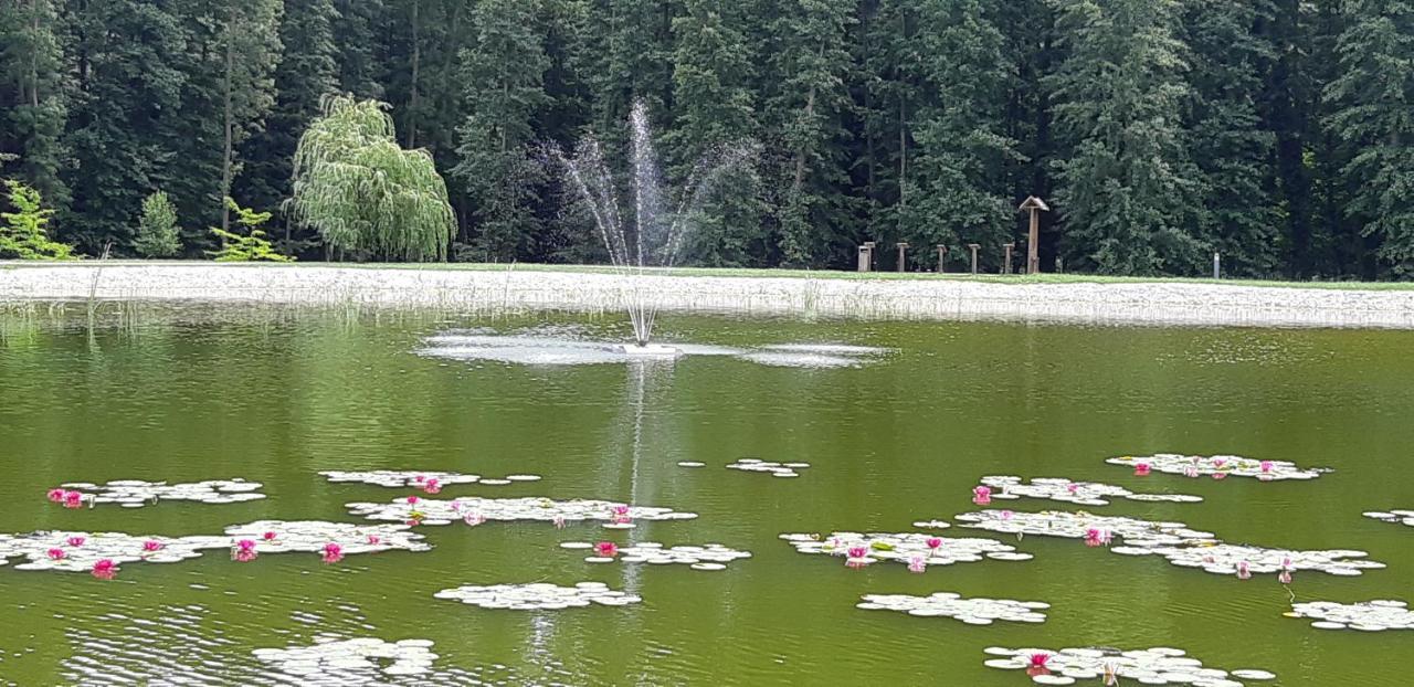 Antal Apartmanok Zalakaros Dış mekan fotoğraf
